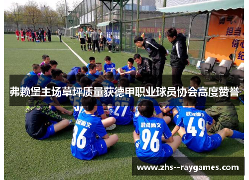 弗赖堡主场草坪质量获德甲职业球员协会高度赞誉 弗赖堡主场草坪质量获德甲职业球员协会高度赞誉