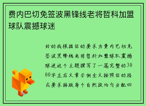 费内巴切免签波黑锋线老将哲科加盟球队震撼球迷
